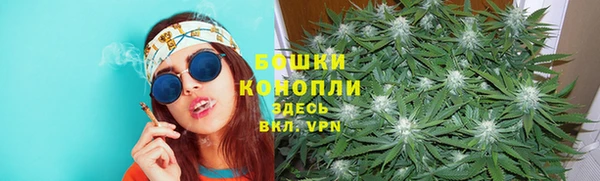 СК Михайлов