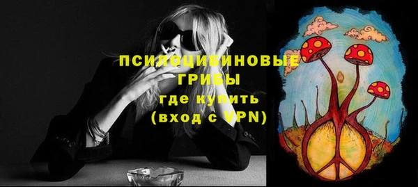 спиды Михайловск