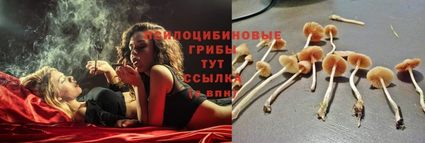 СК Михайлов